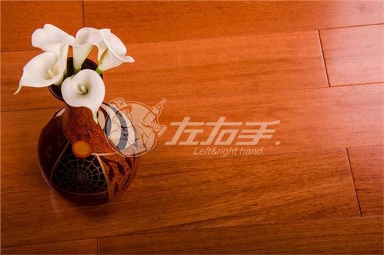 世预赛(中国)家居安装