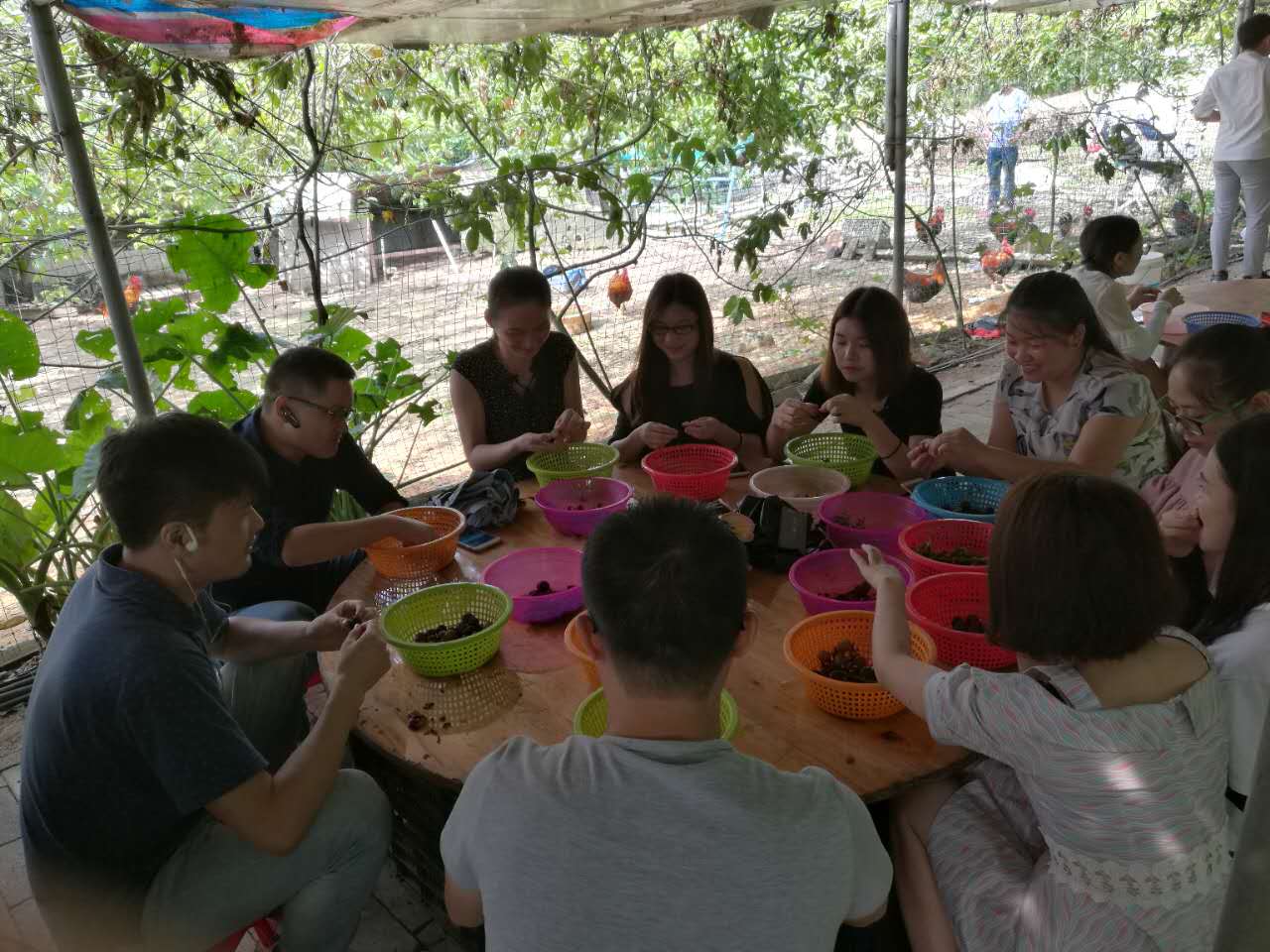 世预赛(中国)清远葡萄园游玩